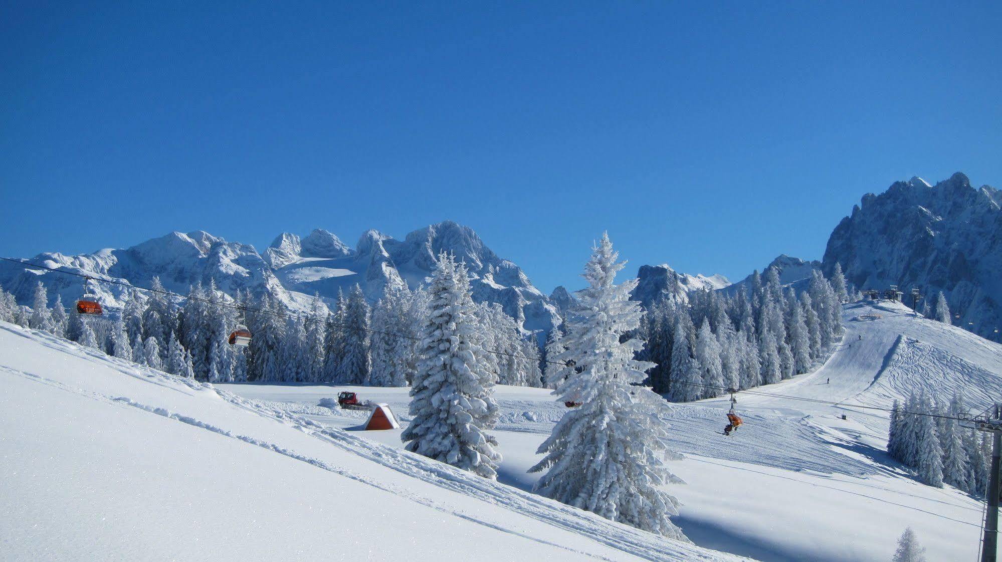 Gasthof Waldwirt Russbach am Pass Gschuett Luaran gambar