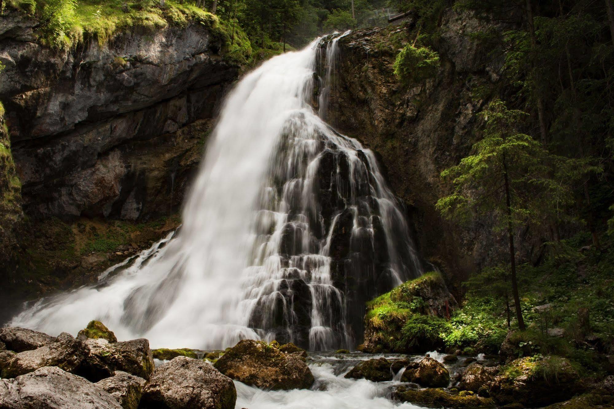 Gasthof Waldwirt Russbach am Pass Gschuett Luaran gambar